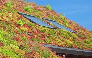 Bexon living roof systems